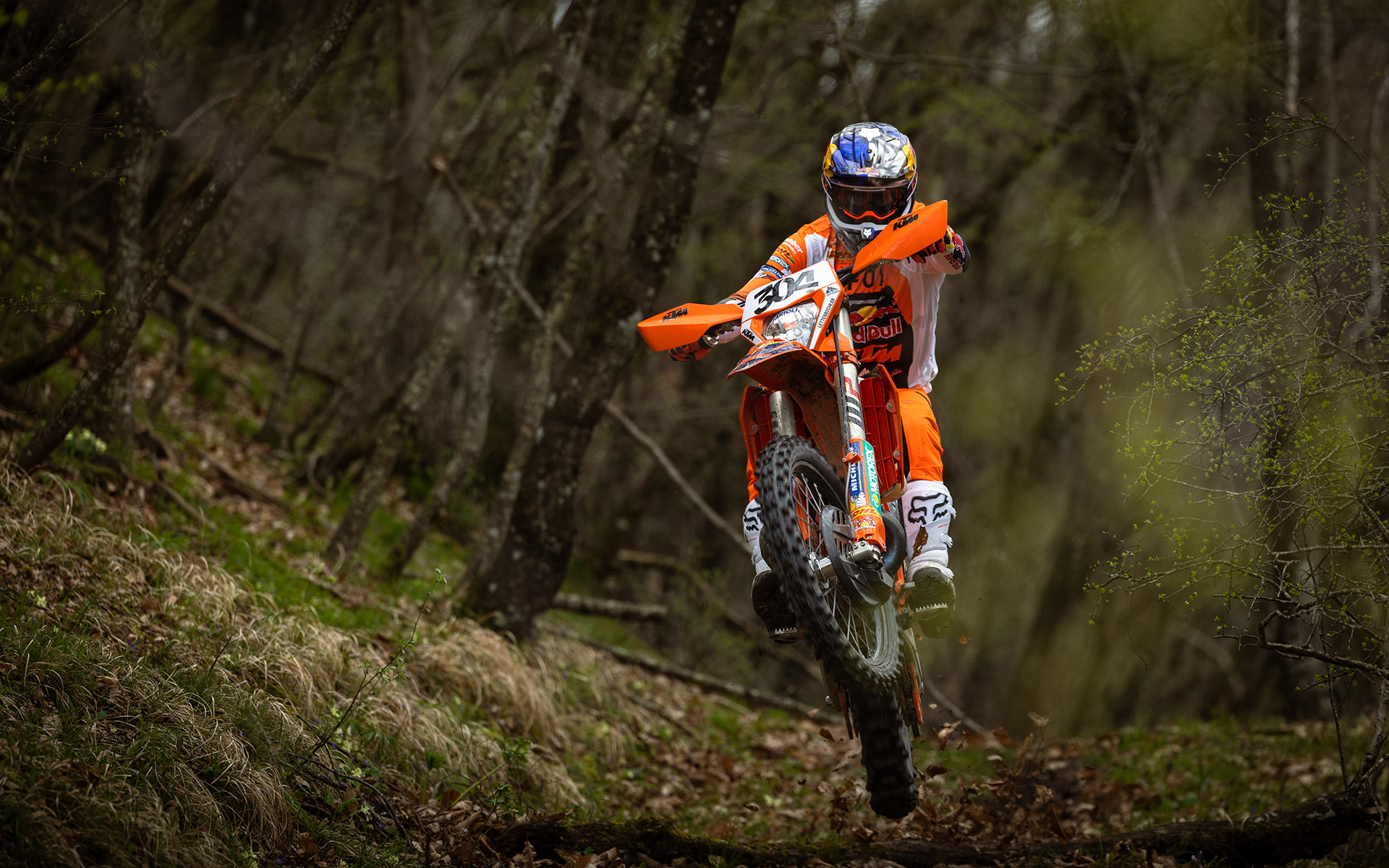 KTM Enduro 300 EXC Champion Edition 2025 photo