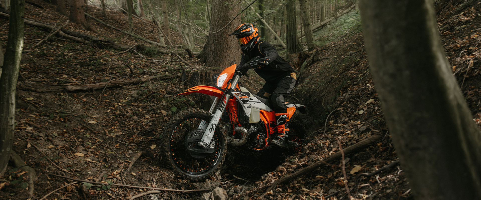 KTM Enduro 300 EXC HardEnduro 2026 photo KTM Enduro 300 EXC HardEnduro 2026 photo