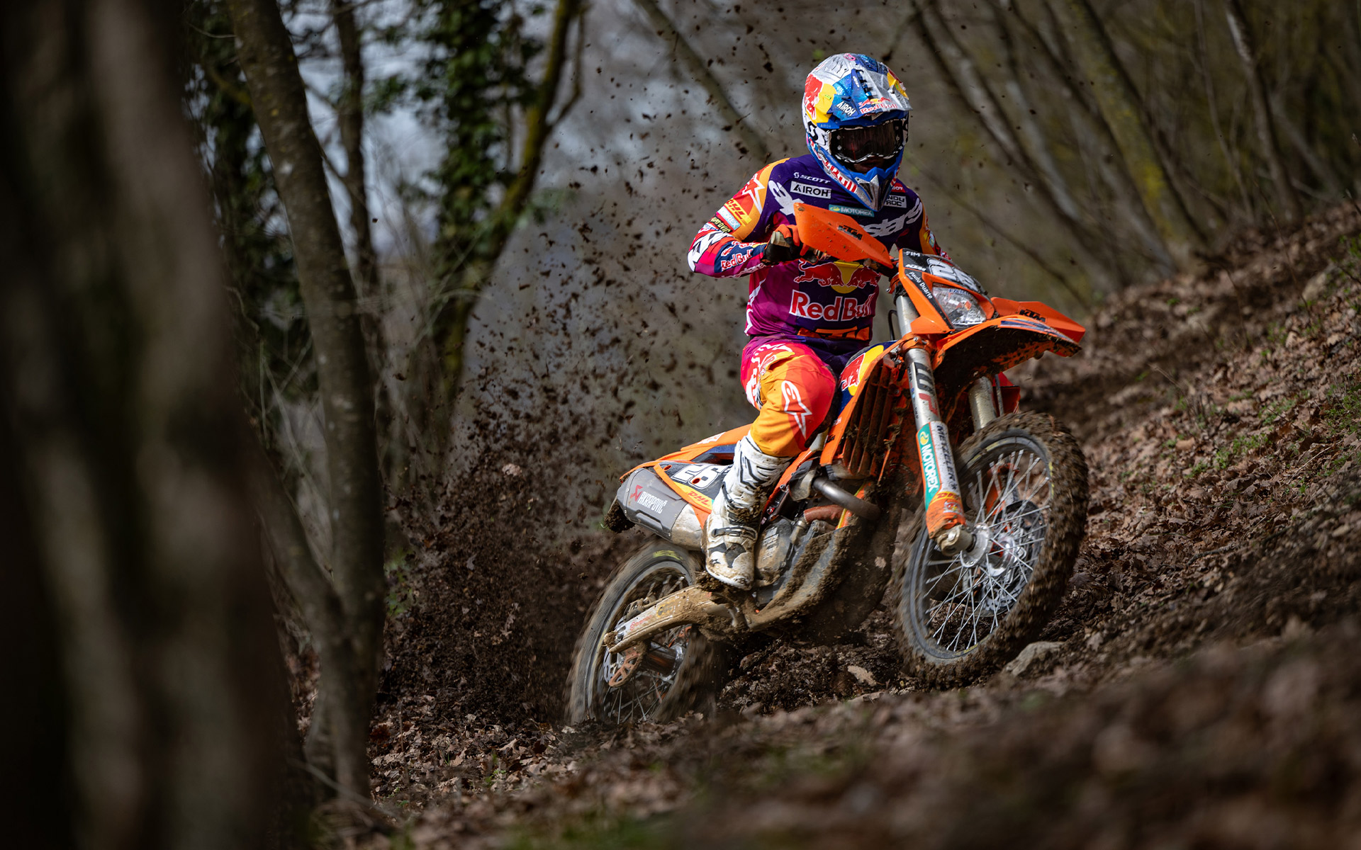 KTM Enduro 500 EXC-F Champion Edition 2025 photo