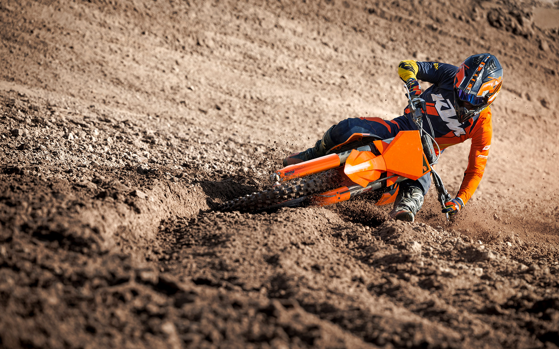 KTM MX 450 SX-F 2025 photo